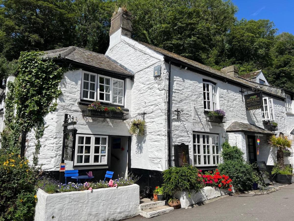 The Cottage Bed & Breakfast بولبيرو المظهر الخارجي الصورة